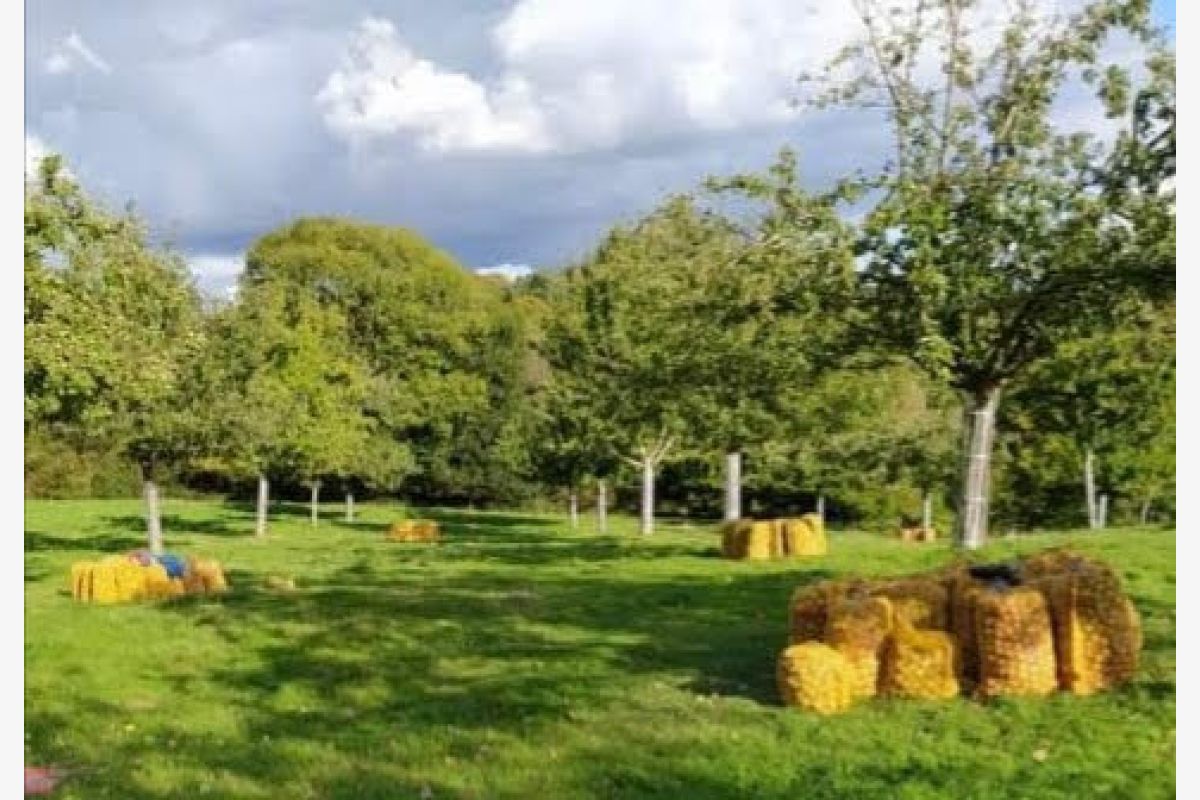 Cidre nouveau fermier soutiré  - 170858_80707244dfe925ee81d7a7dcb8e1e41a.jpg