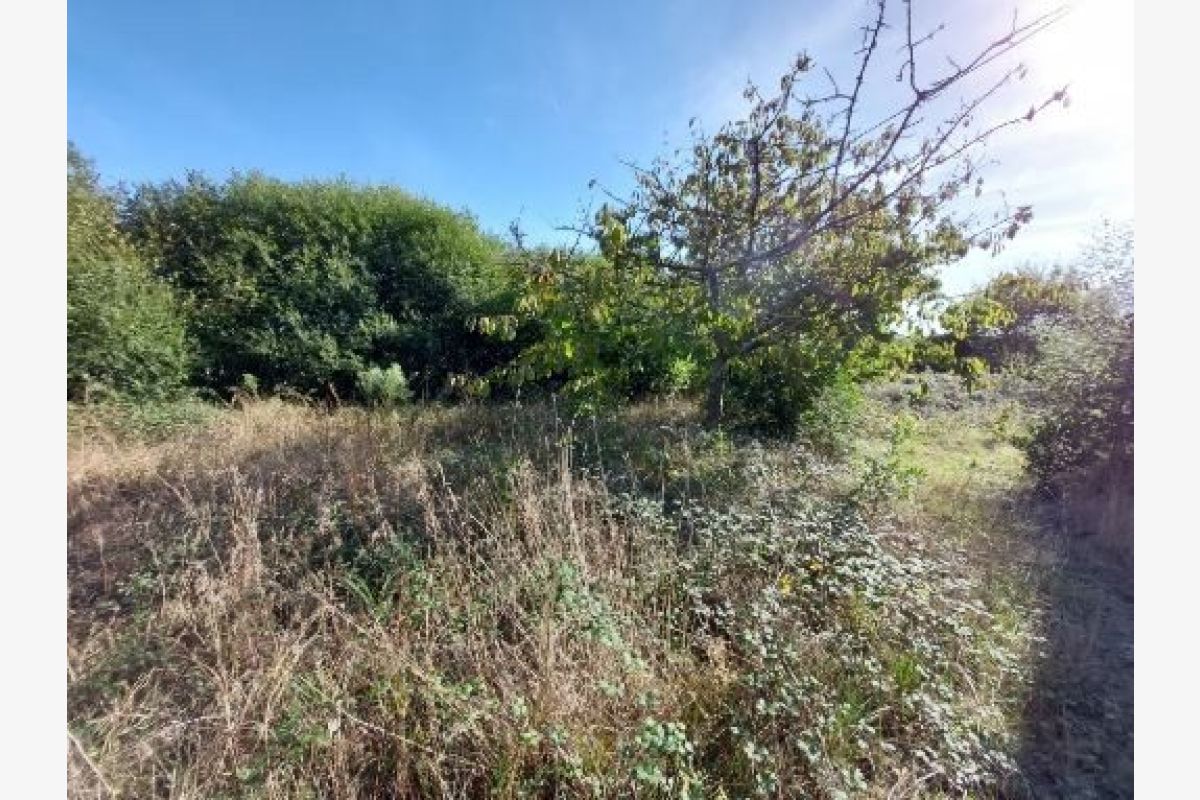 Maison à vendre Coudeville-sur-Mer - 170869_7.jpg