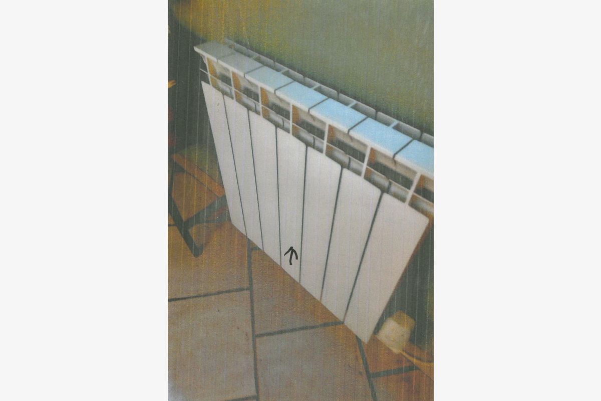 Photo 1 VENTE POULES