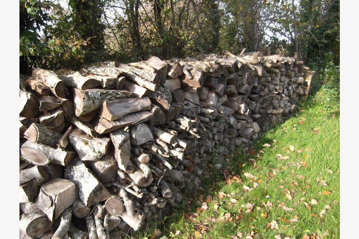 Vends bois de chauffage - 171575_f2e2eb2414c36bb85f1b2c46167c2633.jpg