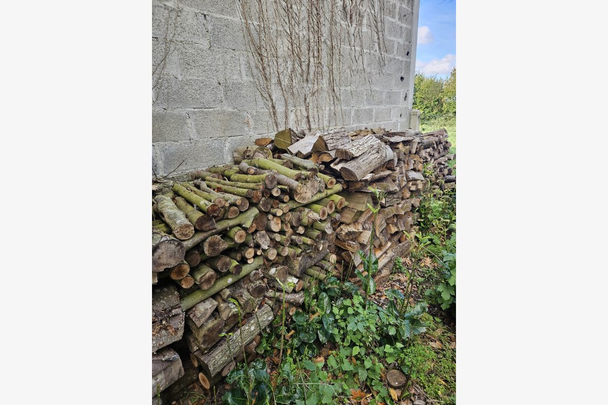 Photo 1 A vendre bois de chauffage