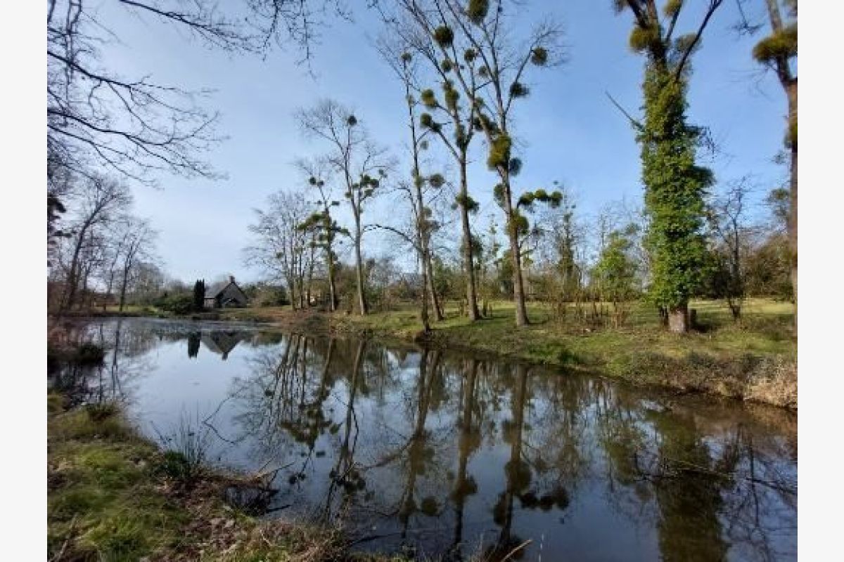 Idéal pour un investissement , un joli gîte avec son étang - 172388_1.jpg