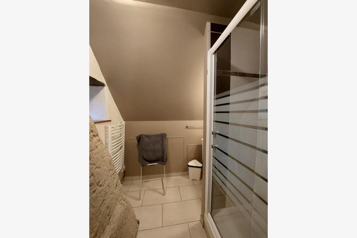 Idéal pour un investissement , un joli gîte avec son étang - 172388_6.jpg