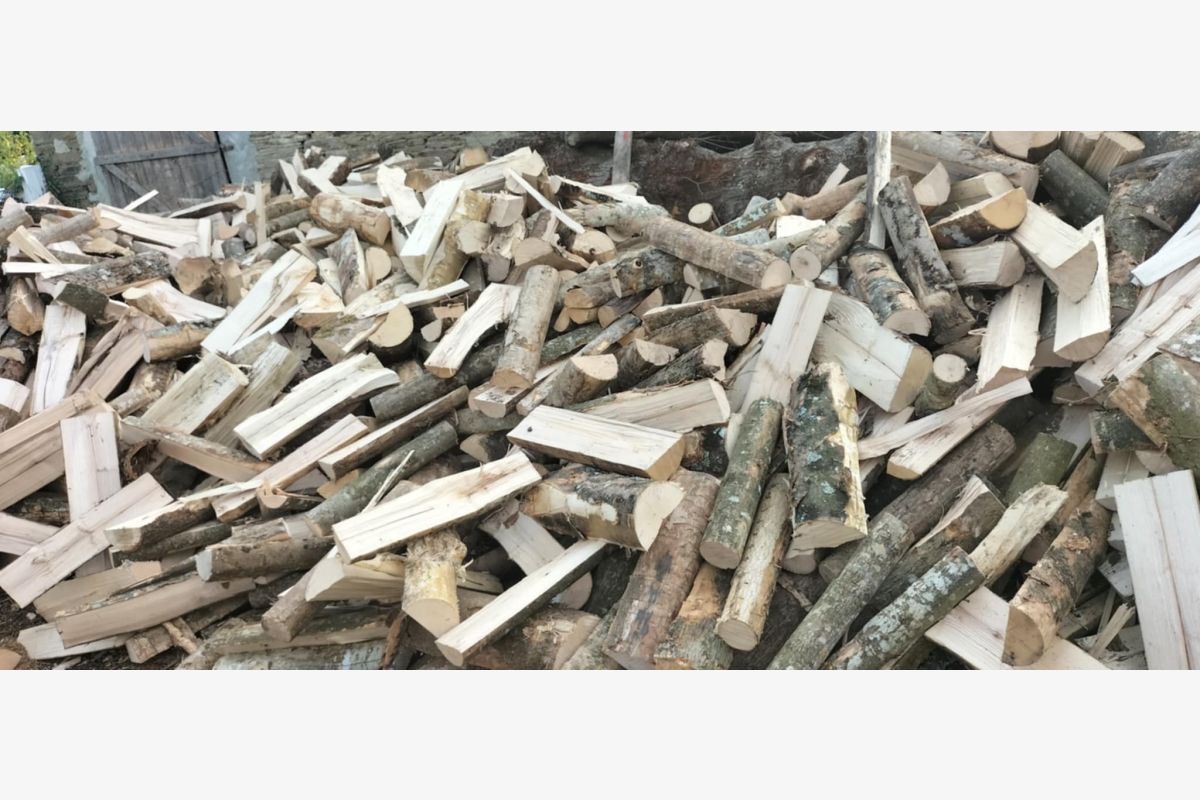 Photo 1 Bois de chauffage 