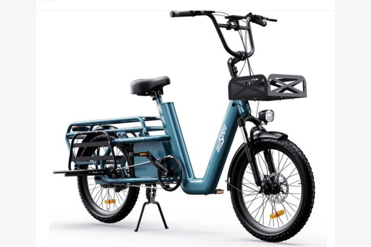 Photo 1 Velo Cargo bi-place