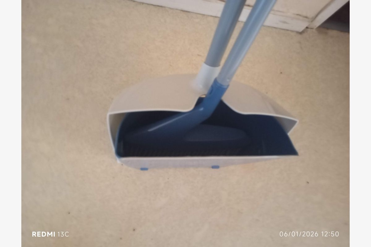 Pelle & Balayette 2 en 1 - 173269_6913255668311858520ef91c29502a61.jpg