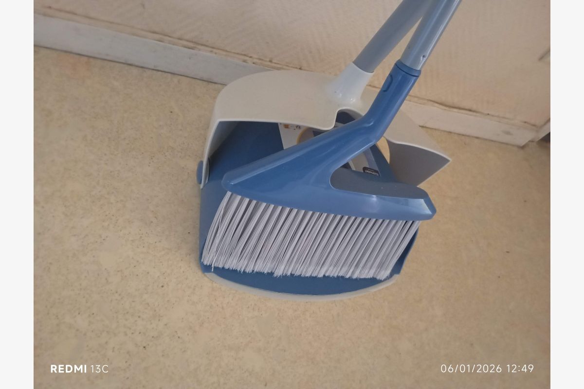 Pelle & Balayette 2 en 1 - 173269_7e0ba94c00d88a66ed5a6b5baae8f858.jpg