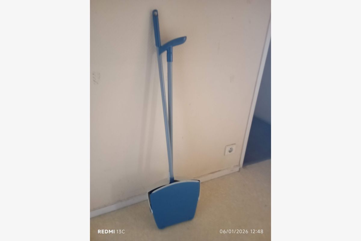 Photo 1 Pelle & Balayette 2 en 1