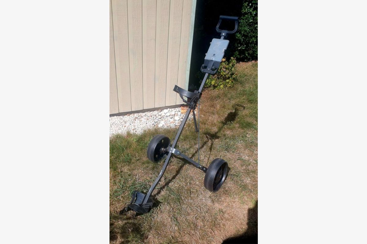 Chariot de golf - 173373_255a4bbe65368118616fd6866cf1716d.jpg