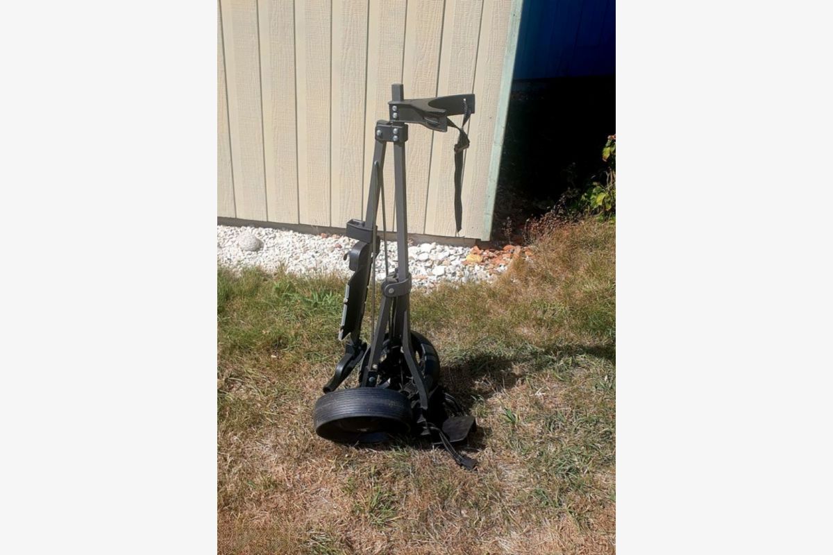 Chariot de golf - 173373_747c1205d0b2168798514685f206e205.jpg