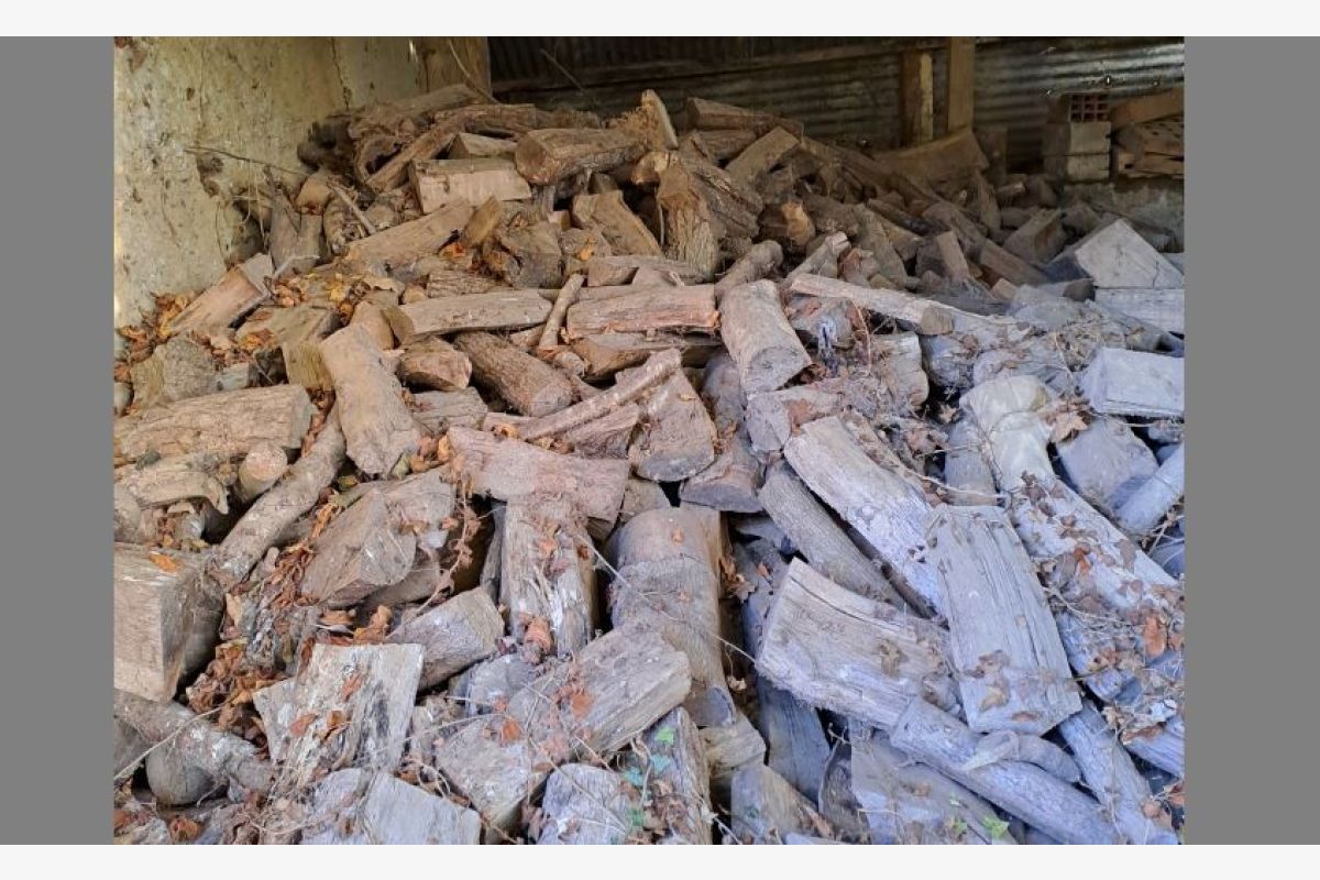 Photo 1 Bois de chauffage