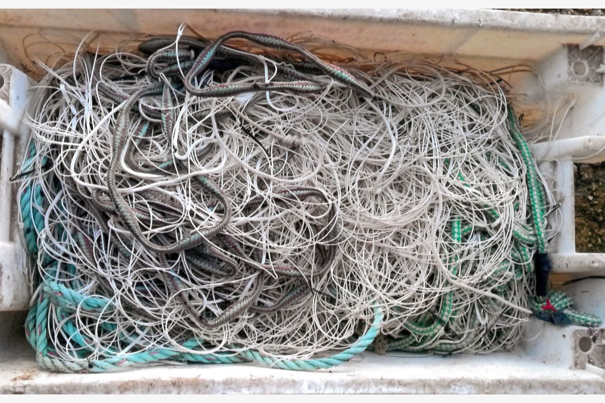 Photo 1 Filet à araignées