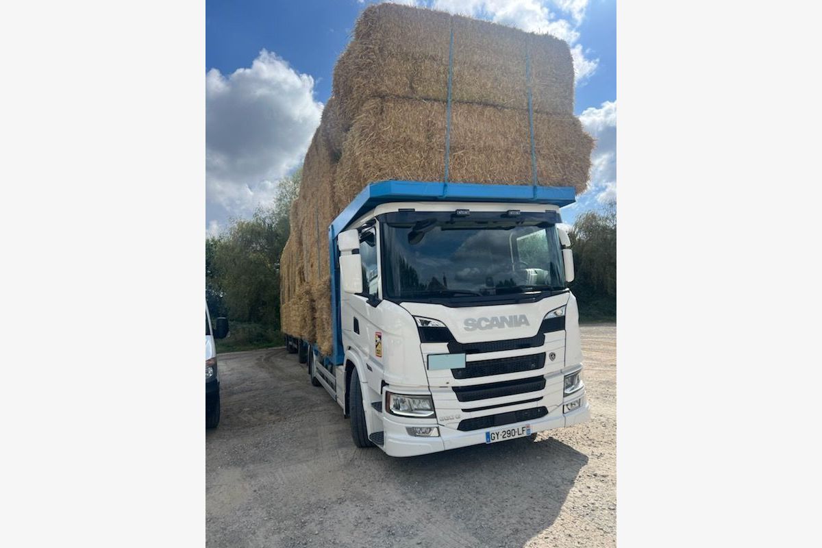 Photo 1 Paille de blé, orge