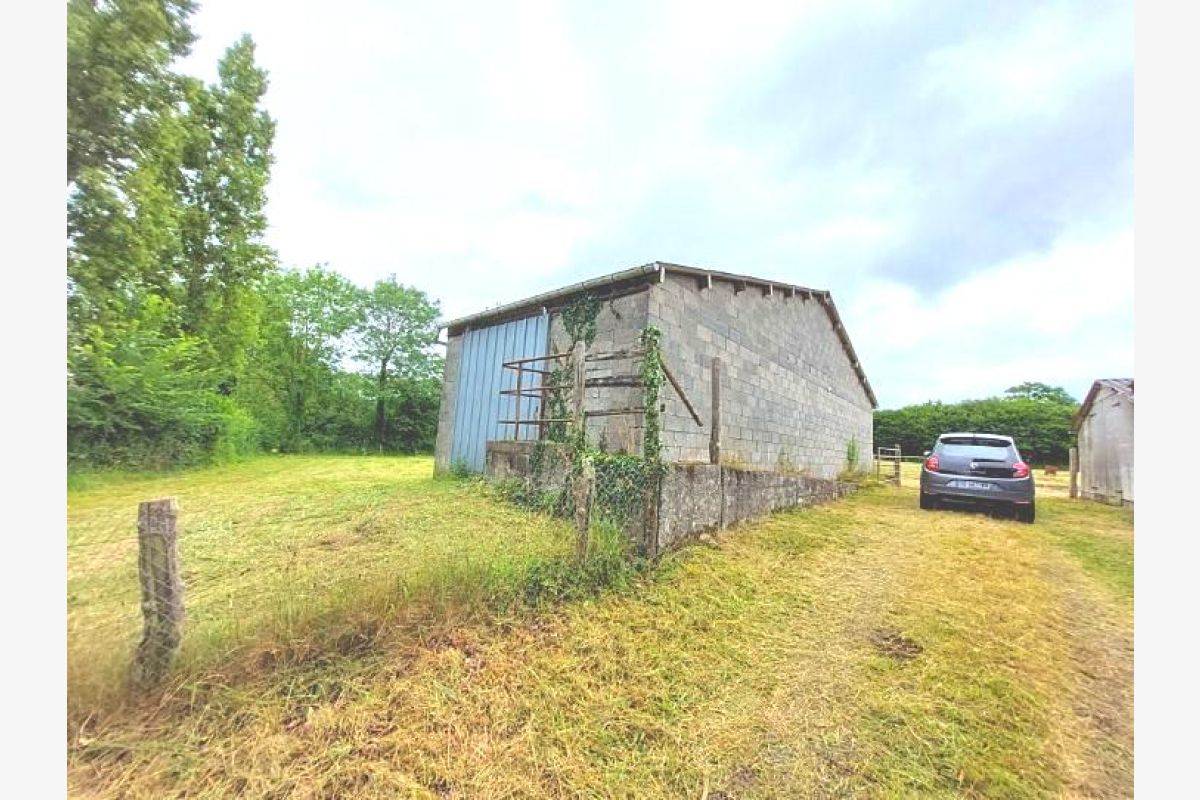 A vendre terrain agricole avec dépendances - 173896_1.jpg