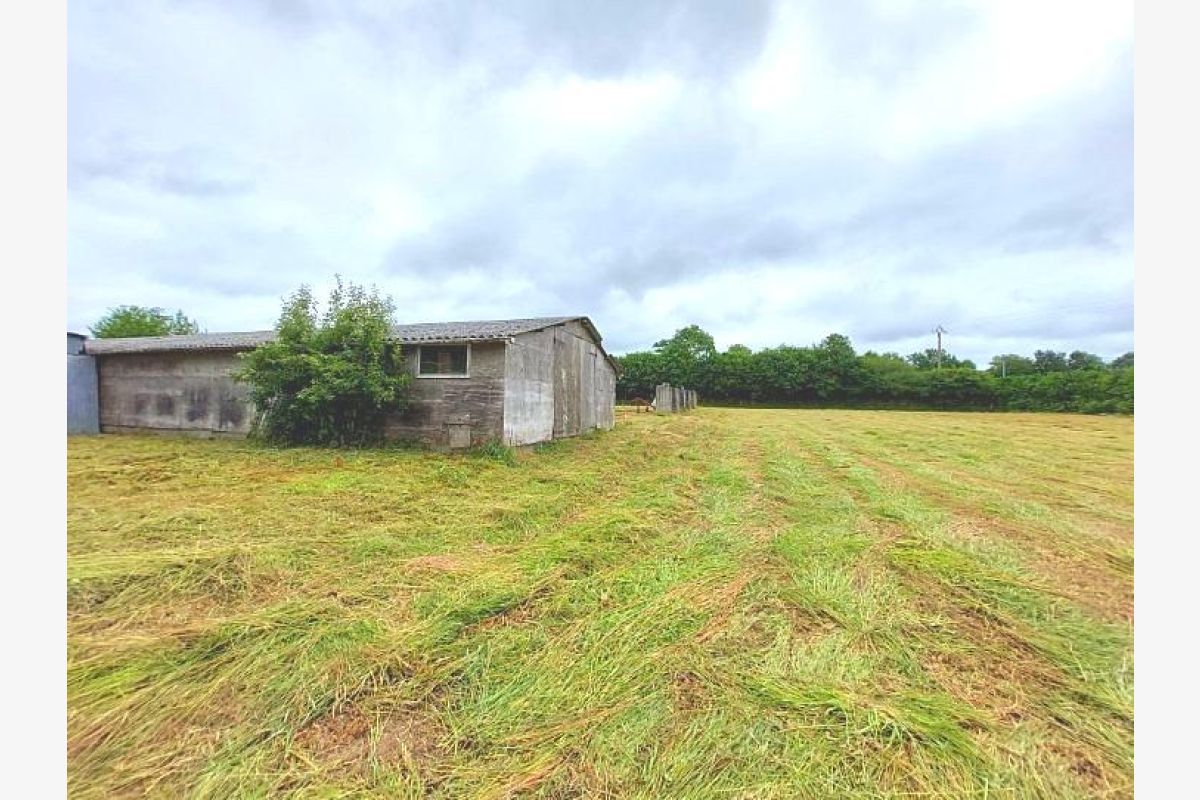 A vendre terrain agricole avec dépendances - 173896_4.jpg