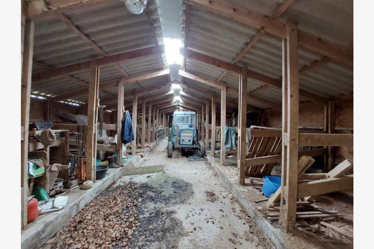 A vendre terrain agricole avec dépendances - 173896_5.jpg