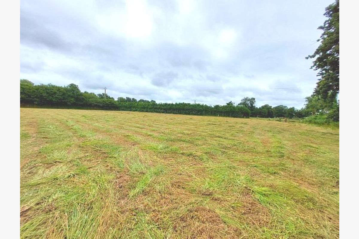 A vendre terrain agricole avec dépendances - 173896_6.jpg