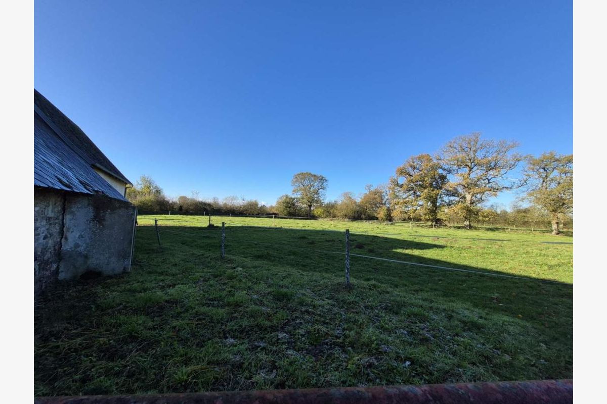 Maison - 174072_3.jpg