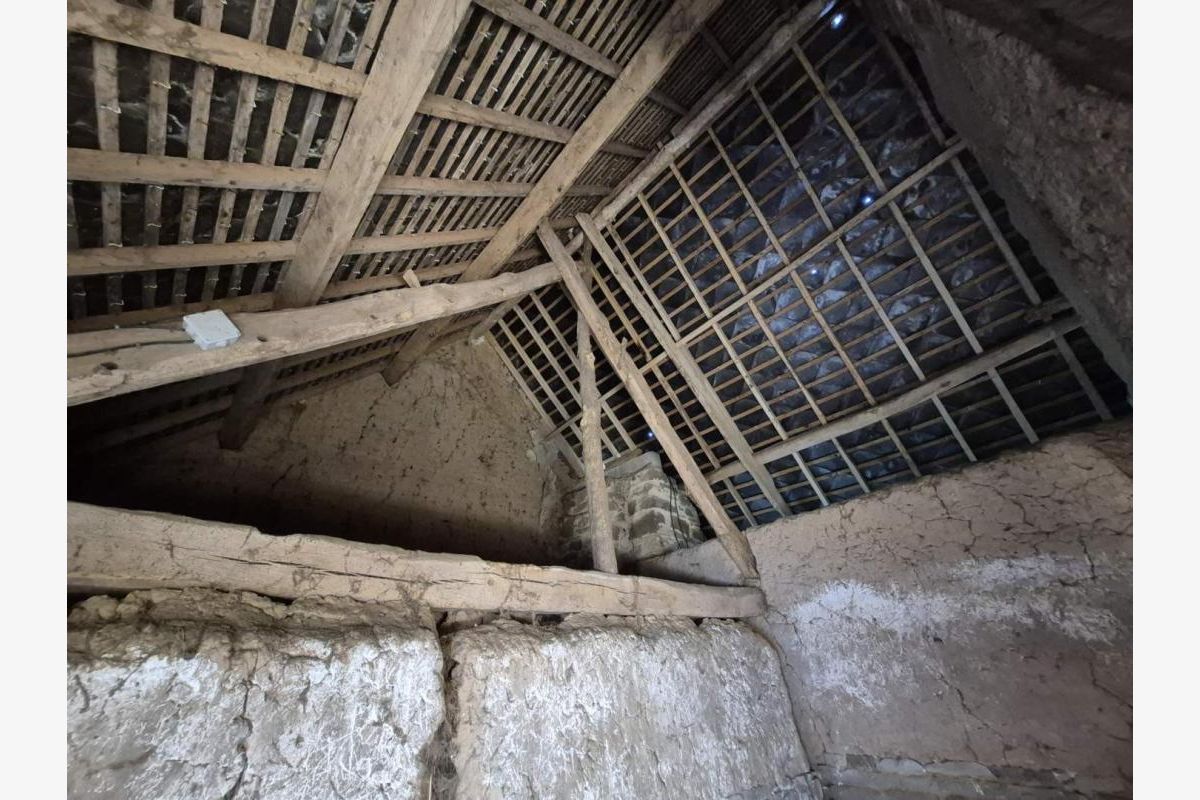 Maison - 174072_4.jpg