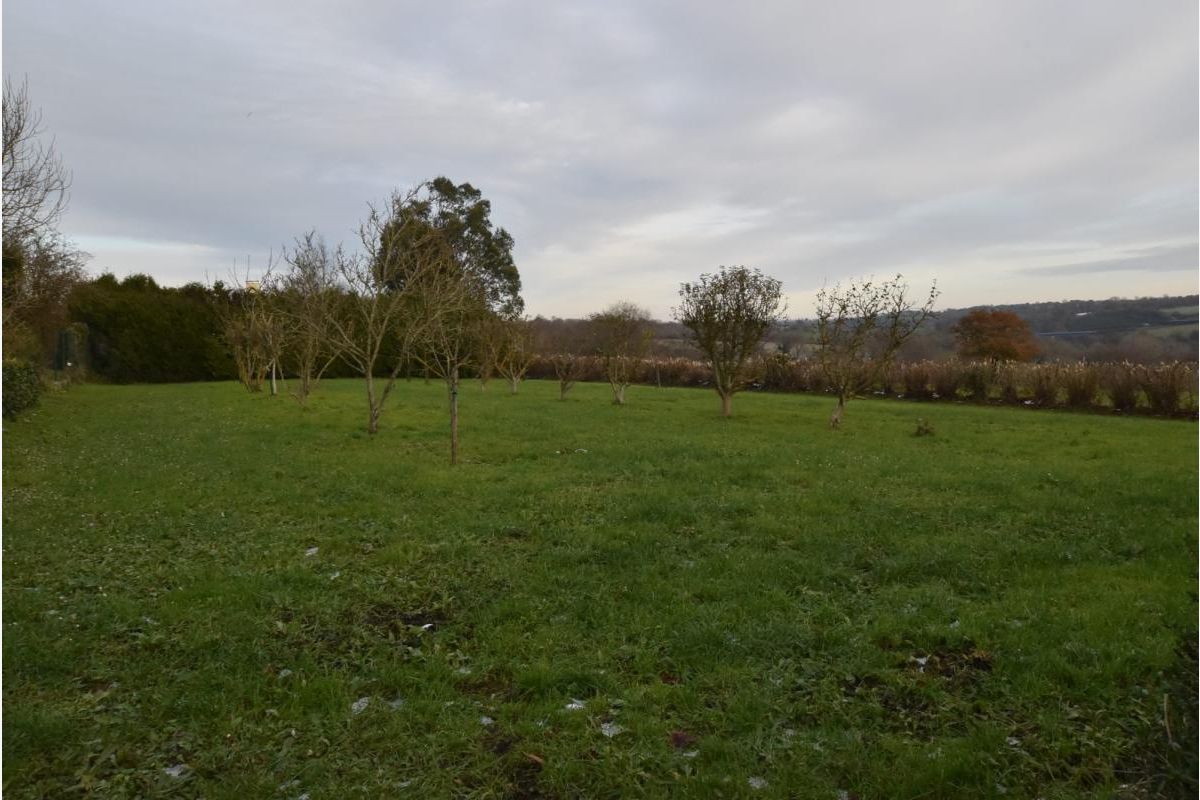 Maison à vendre Bricqueville-la-Blouette - 174080_11.jpg