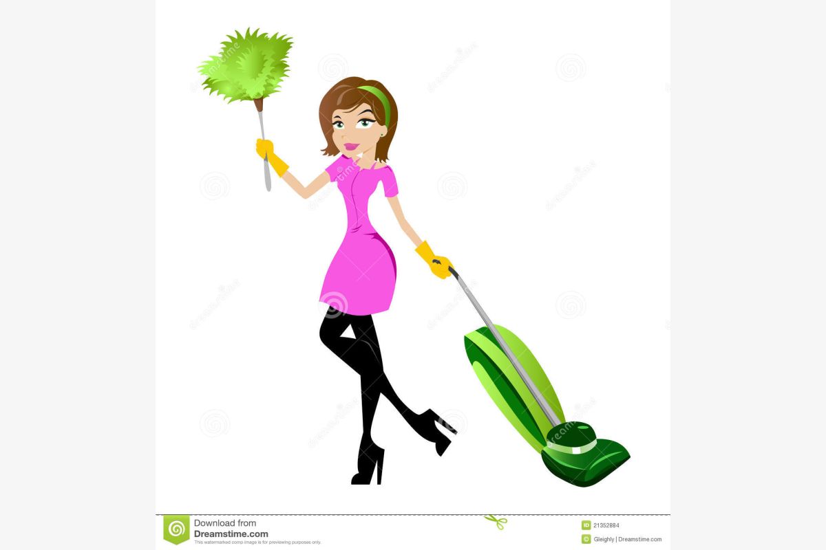 Photo 1 Rech. heures de ménage, repassage