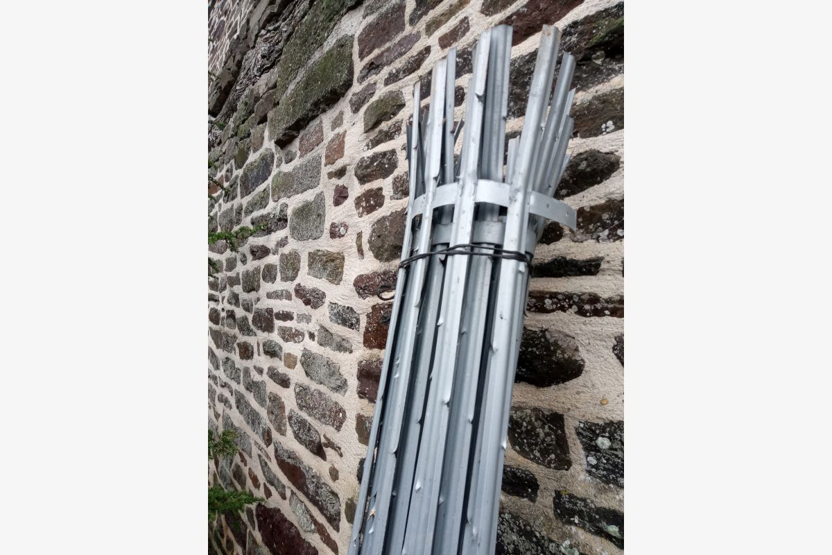 Photo 1 Corsets à pommiers