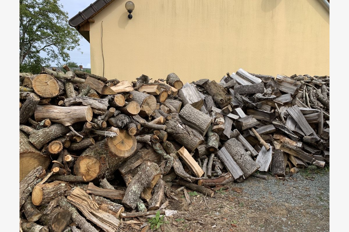 Bois de chauffage - 174654_d9aca6a8ed3244c798f3bb24d07668d8.jpg