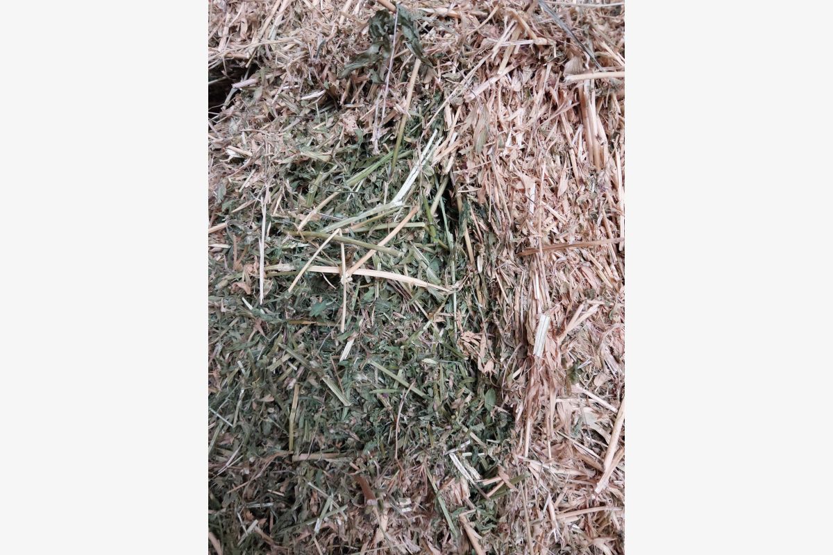 Photo 1 Foin de luzerne 