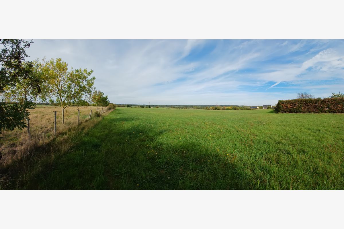 Photo 1 TERRAIN DE LOISIRS 4000 m² aux portes du Poney Club de Pied Bercy