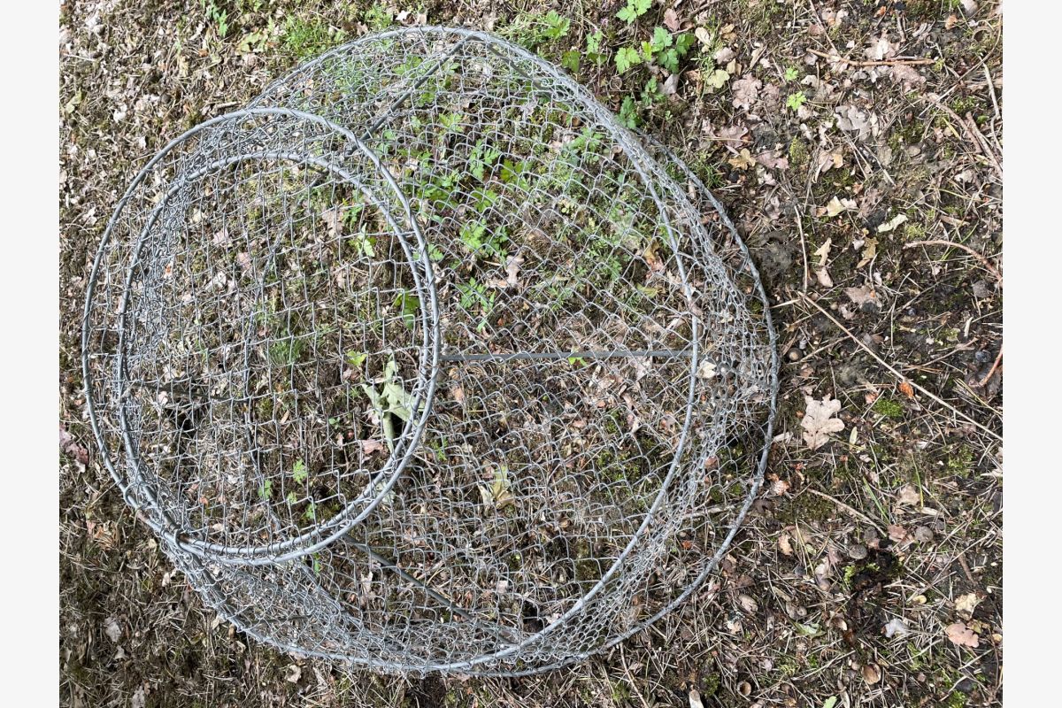 Photo 1 Cloche de protection en grillage à poule