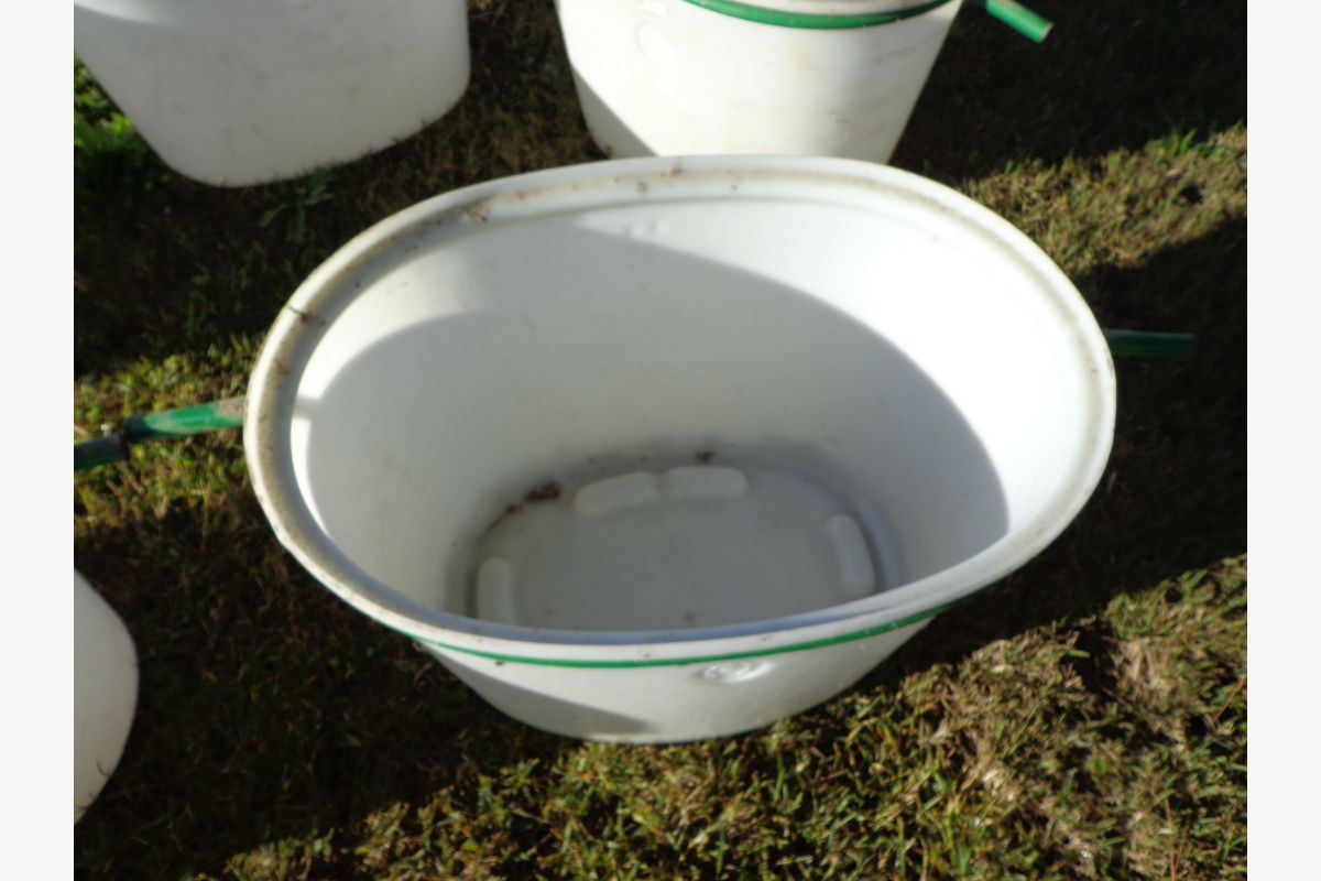 Photo 1 Comporte à vendange neuve