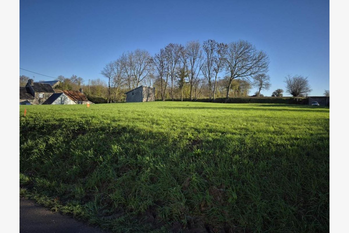 Terrain à bâtir - 176290_3.jpg