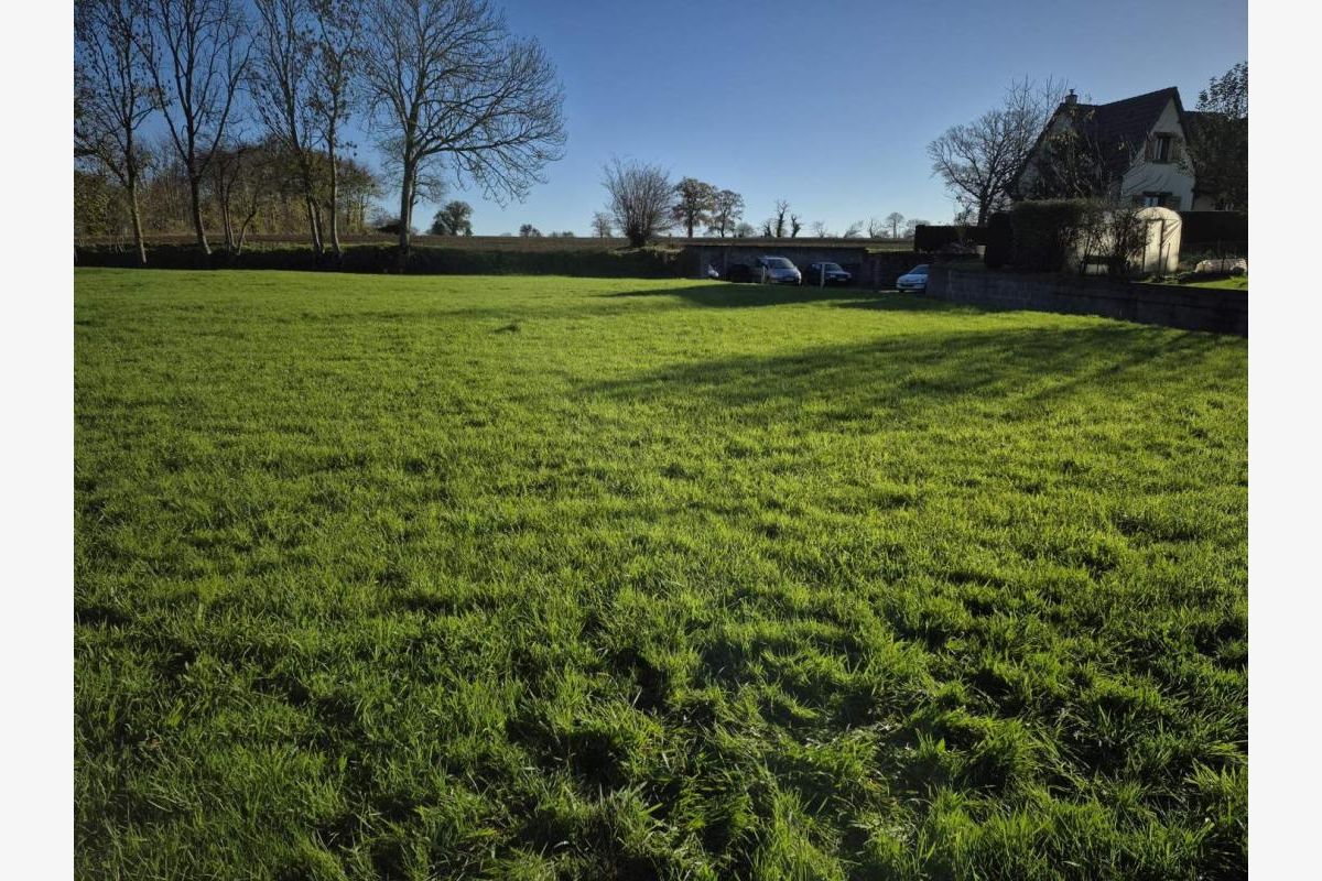 Terrain à bâtir - 176290_4.jpg