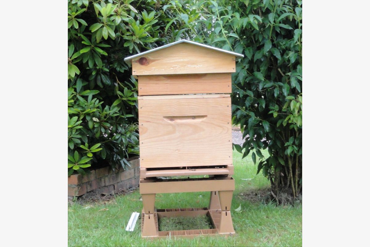 Formation 2026 en apiculture - 176607_b946d2e076b4a8d1822c0d6eb5d04b7f.jpg