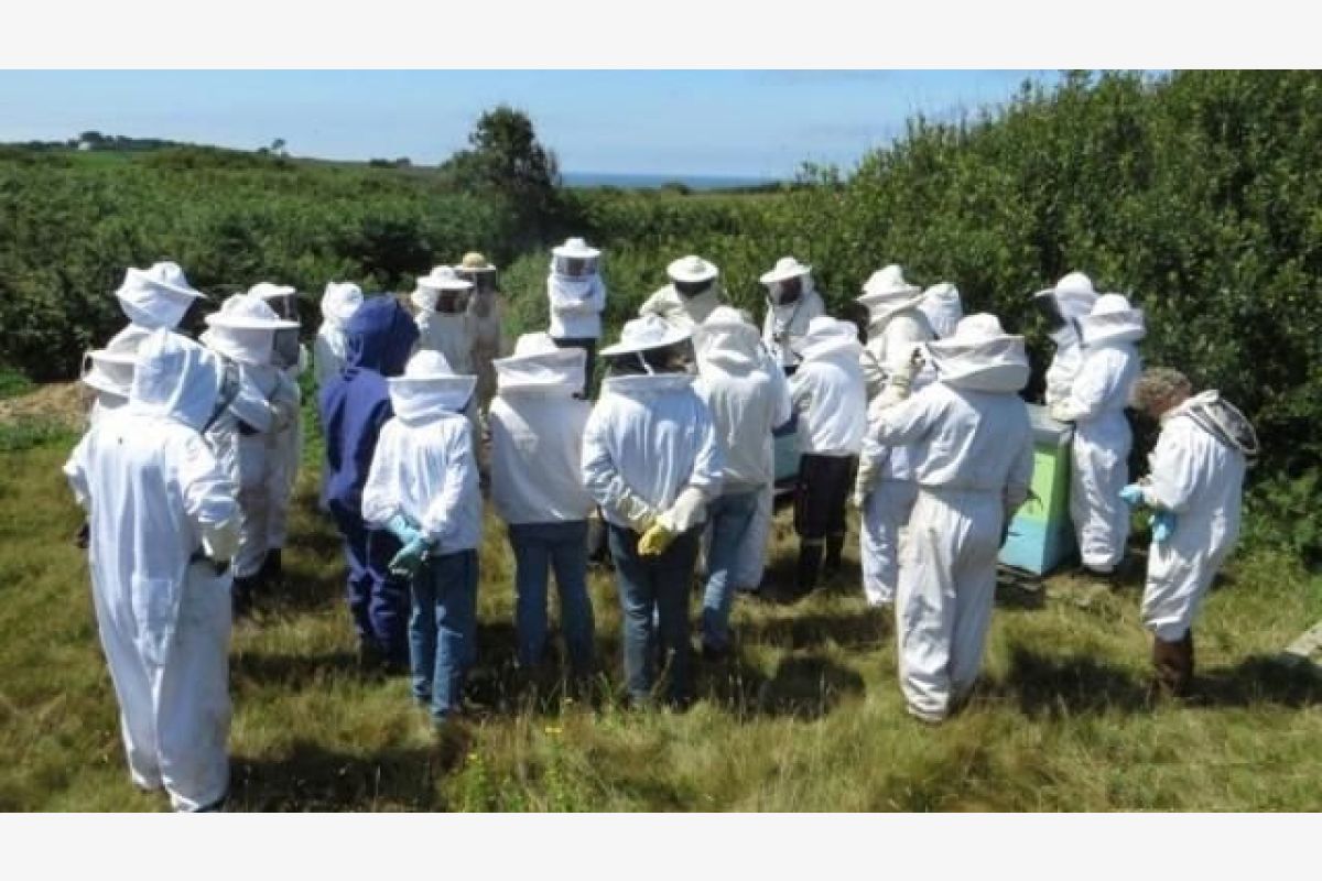 Photo 1 Formation 2026 en apiculture