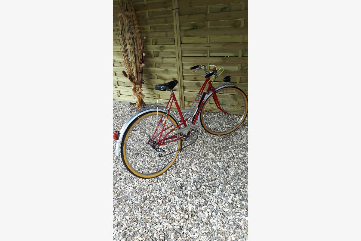 vélo - 176617_83c740b758afd0e303ff29e330b651e9.jpg