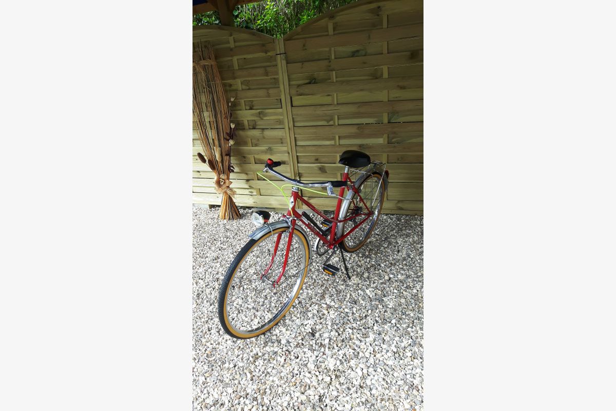 vélo - 176617_d23083a9ab637004647b647d9499bd8d.jpg