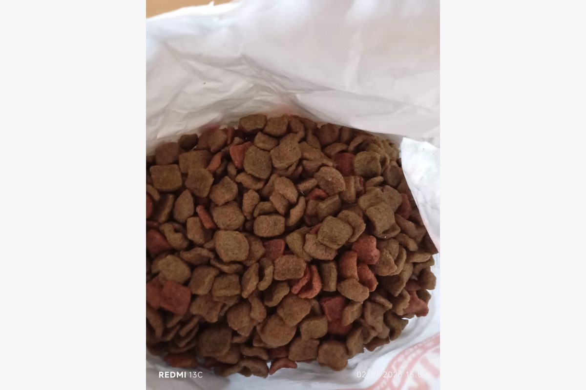 Grande poche FIDO 3 Kilos - 176701_435bb706e4654194bf76b49c0856adcf.jpg