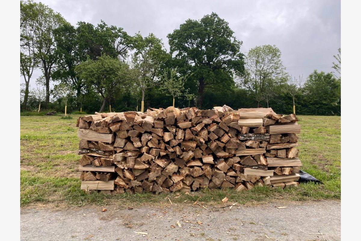 Photo 1 Bois de chauffage