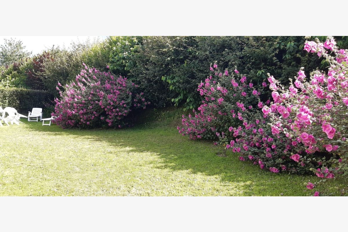 Saint-Lô, à louer maison... - 177658_c027d4cd9065d0c518bb7397a3a4077a.jpg