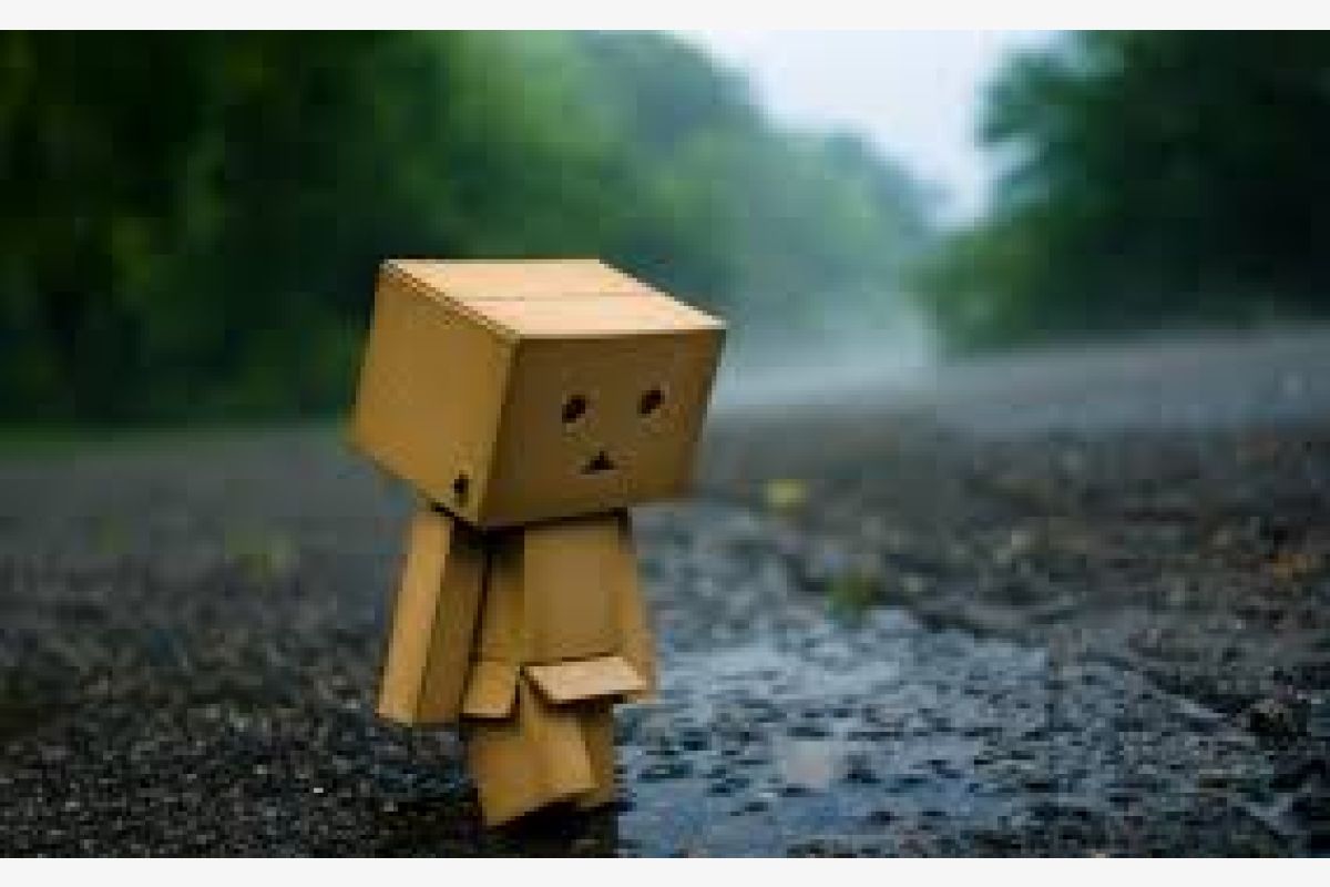 Photo 1 Bois à donner tout de suite