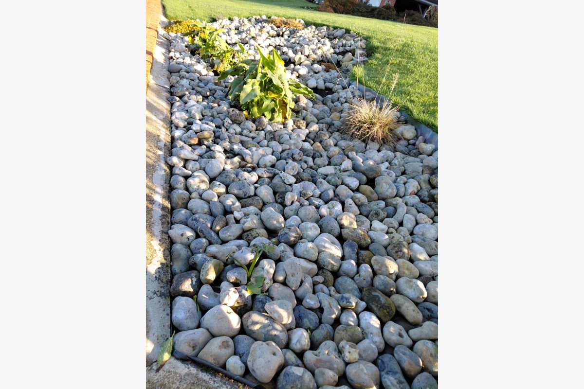 Photo 1 Cailloux déco jardin