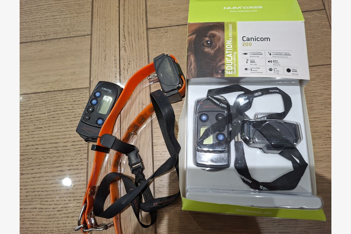 Photo 1 Collier canicom 200