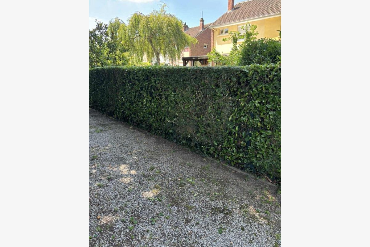 Entretien espace vert  - 179167_2912fe965a5cb5644e7a2ccd2947faa7.jpg