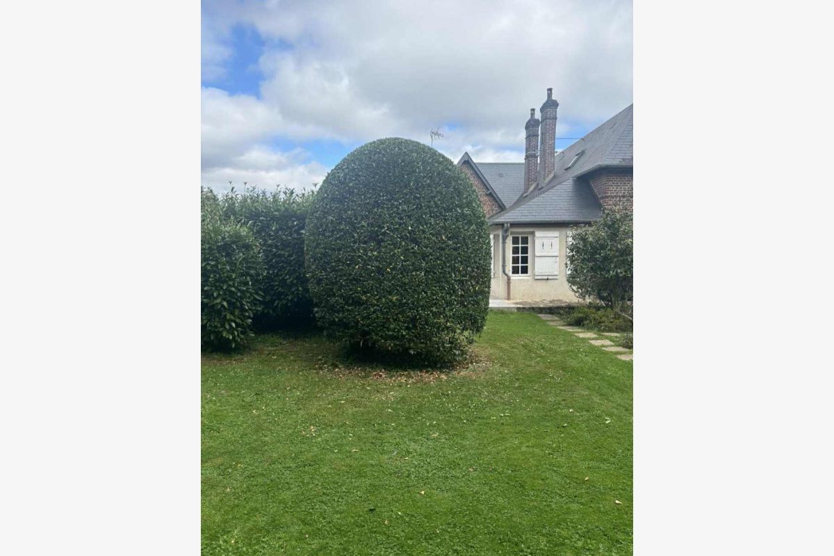 Entretien espace vert  - 179167_82ba09d8e0cce3313123eca442247d51.jpg