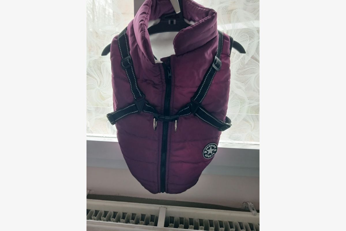 Photo 1 Manteau petit chien