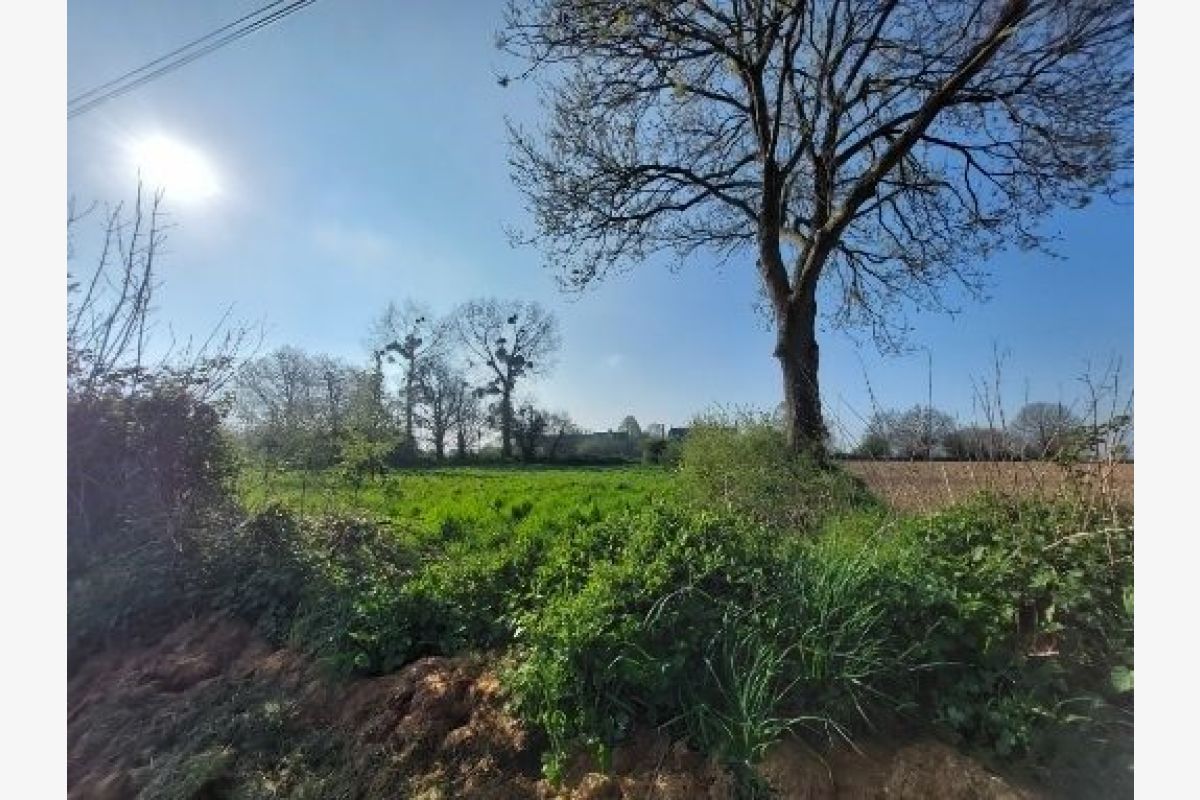 Une maison à rénover sur la commune de Cérences - 179725_10.jpg