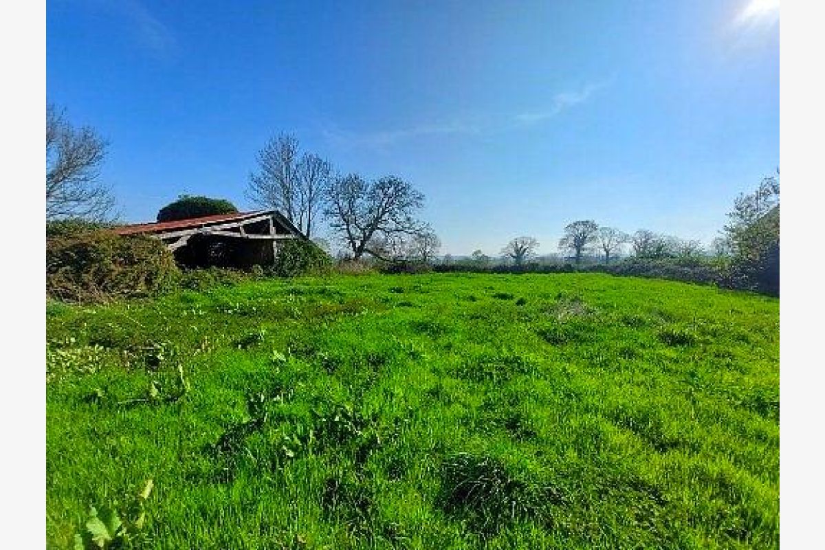 Une maison à rénover sur la commune de Cérences - 179725_2.jpg