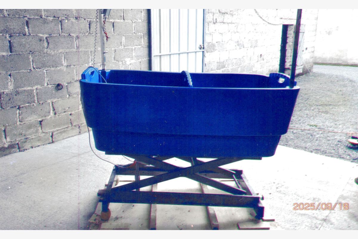 Photo 1 Baignoire pour toilettage chiens