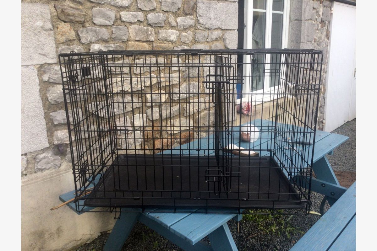 Photo 1 Cage à chien